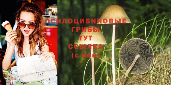 шишки Зерноград